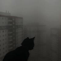 UserAgent-list