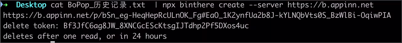 给别人发密码、API 密钥，不想留在聊天记录里？试试 binthere 30